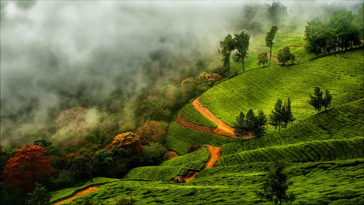 Munnar in Kerala