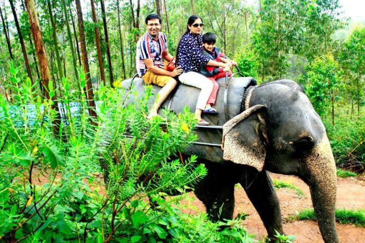 Elephant Ride in Kerala